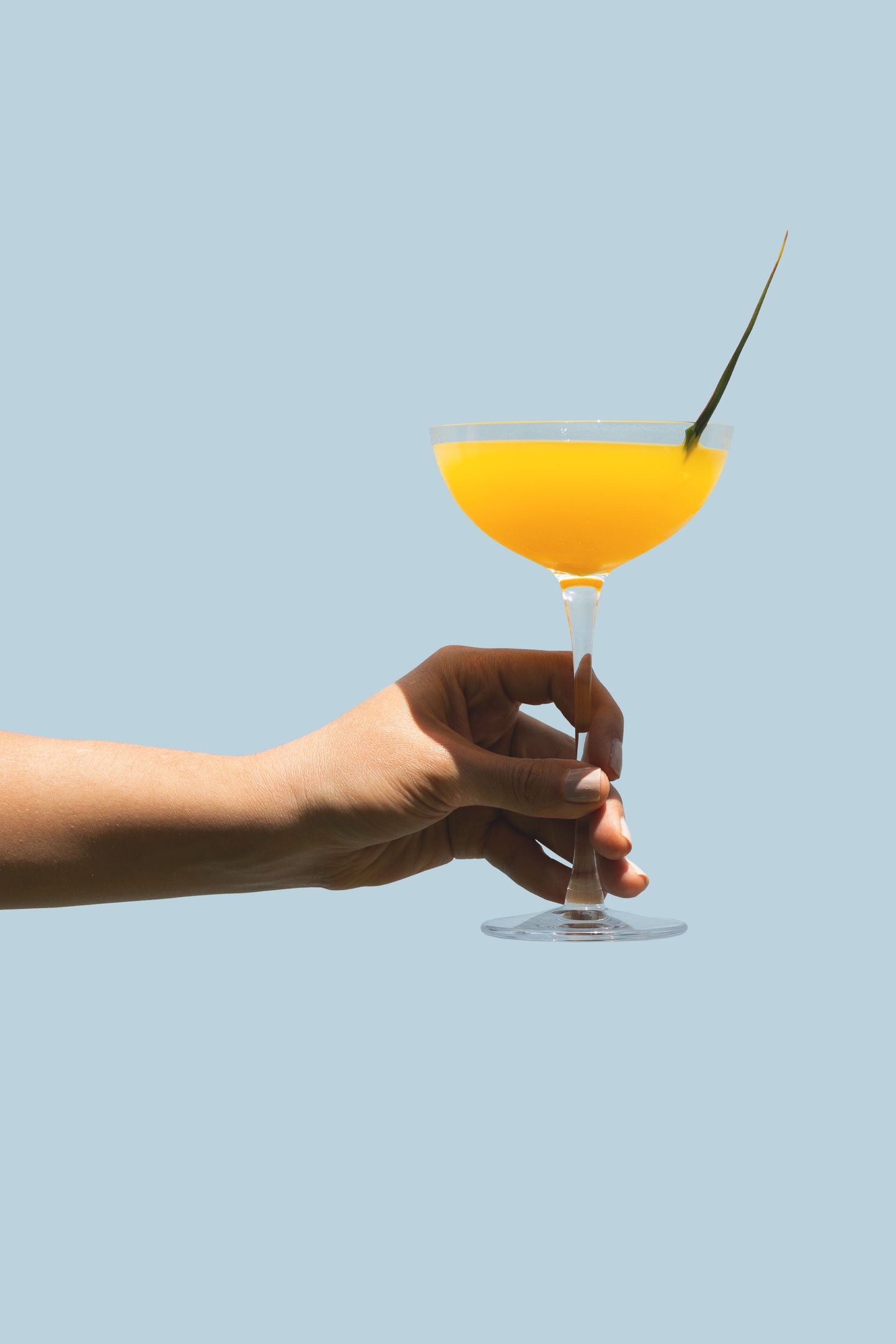 mezcal cocktail with mango